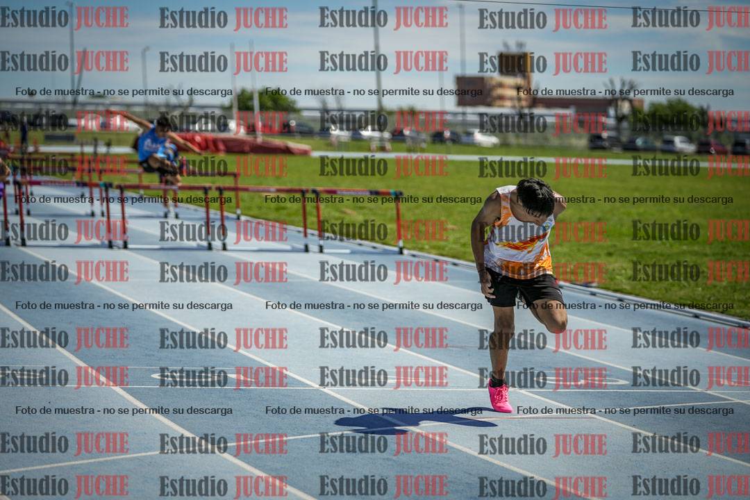 Fotos de los 110 m con vallas de varones