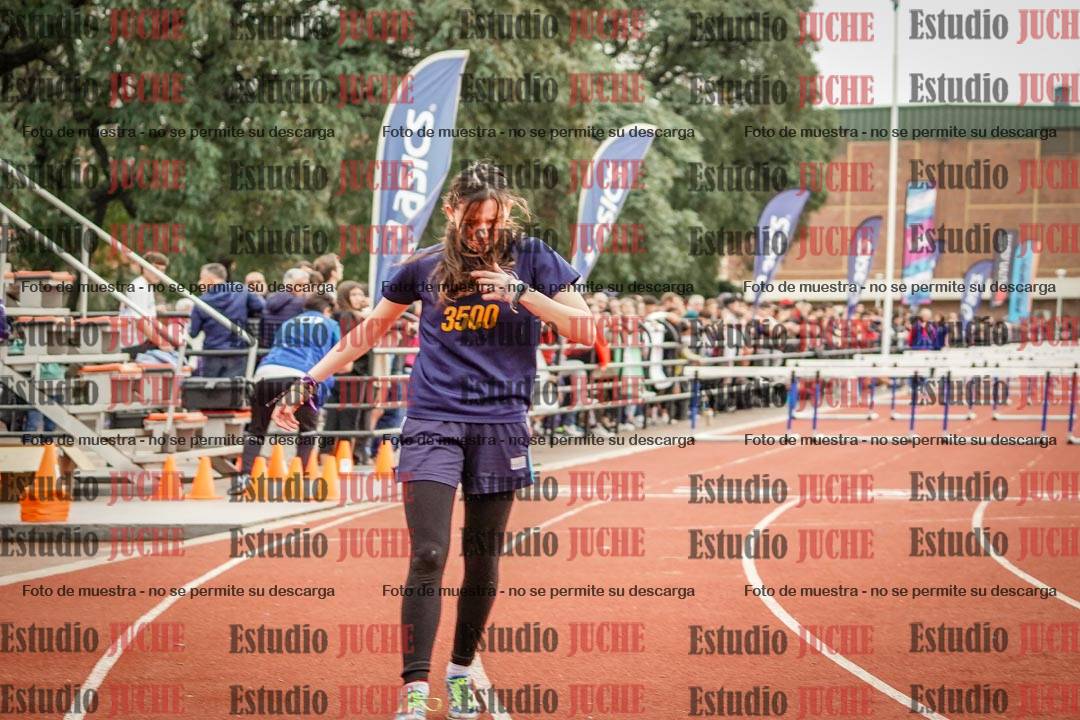 Fotos de los 100 m con vallas de mujeres