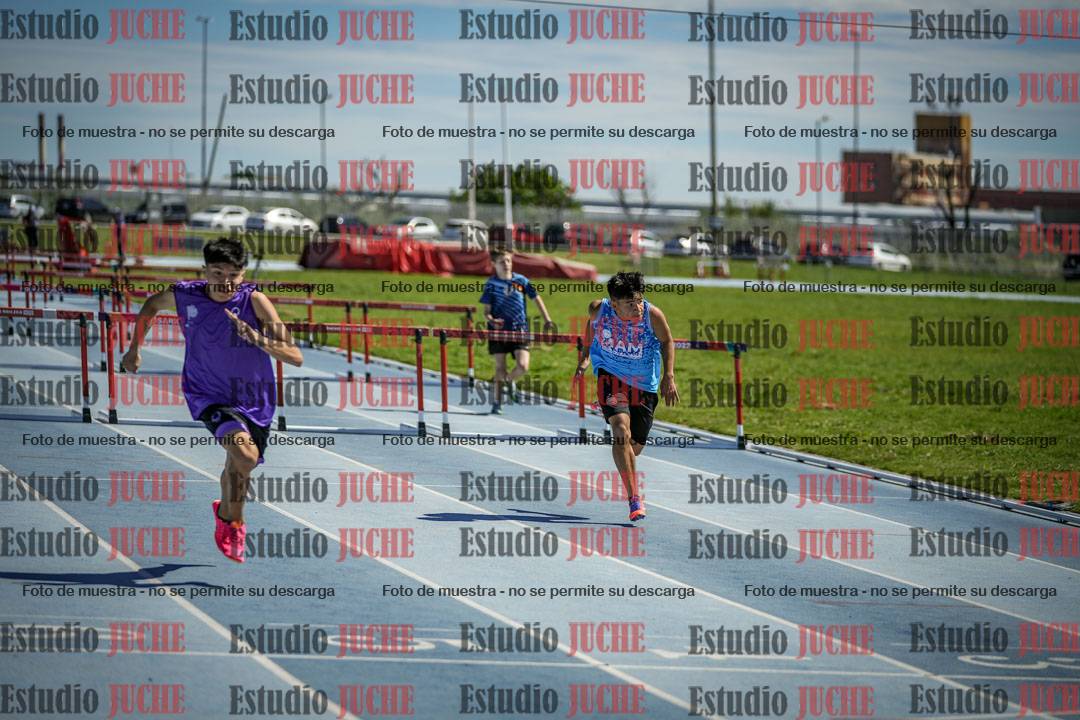 Fotos de los 110 m con vallas de varones