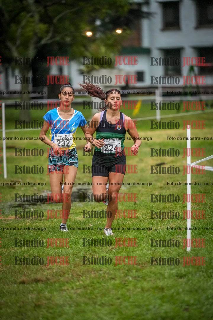 Fotos en el circuito