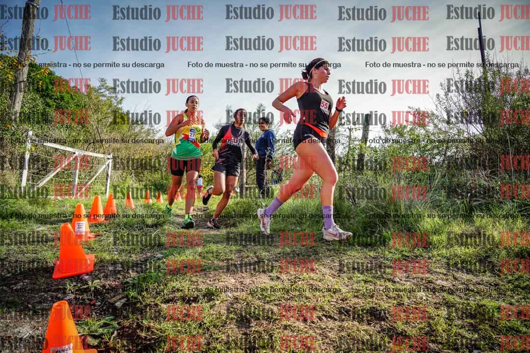 Fotos en el circuito