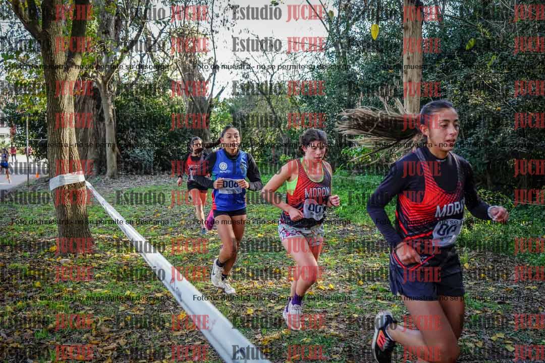 Fotos en el cuarto punto del circuito