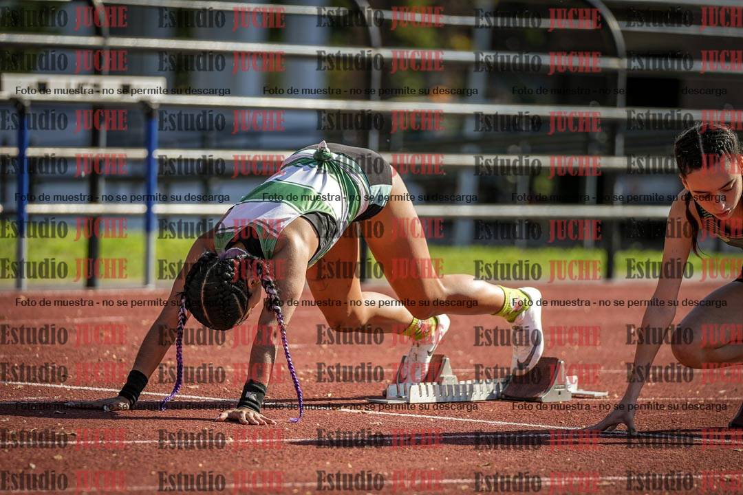 Fotos de los 100 m con vallas de mujeres