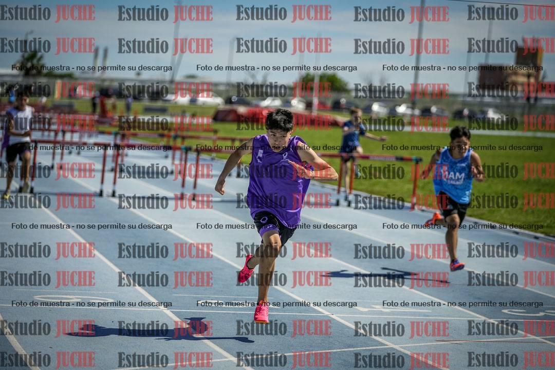 Fotos de los 110 m con vallas de varones
