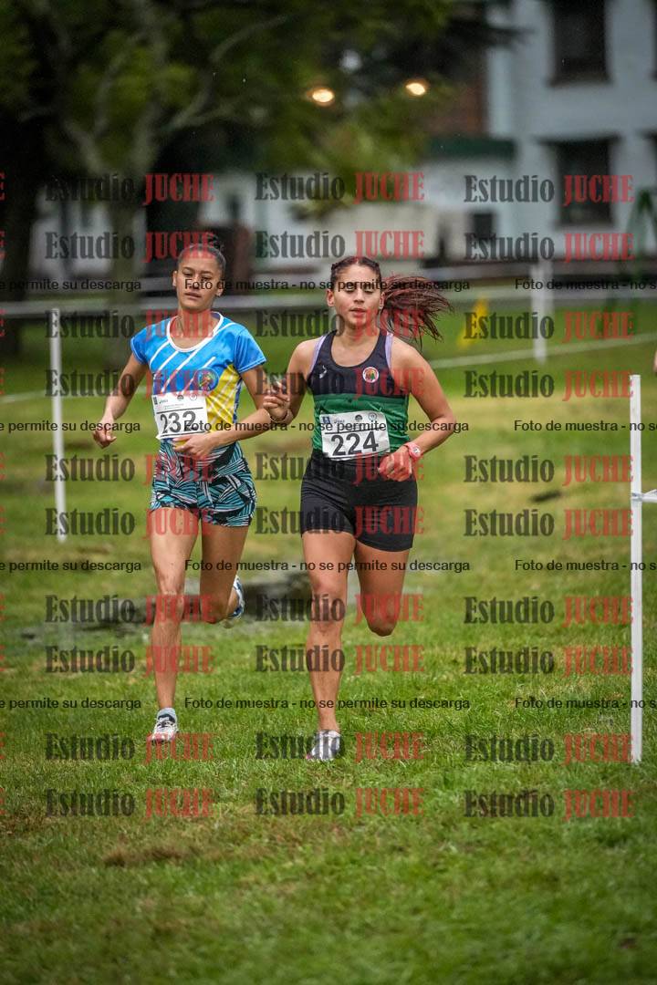 Fotos en el circuito