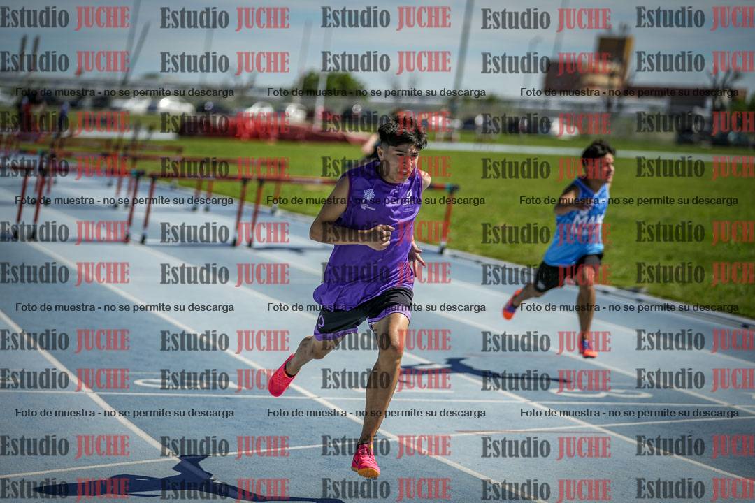 Fotos de los 110 m con vallas de varones