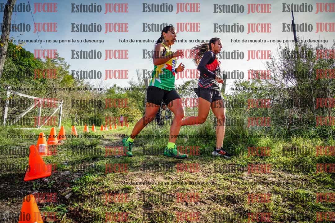 Fotos en el circuito