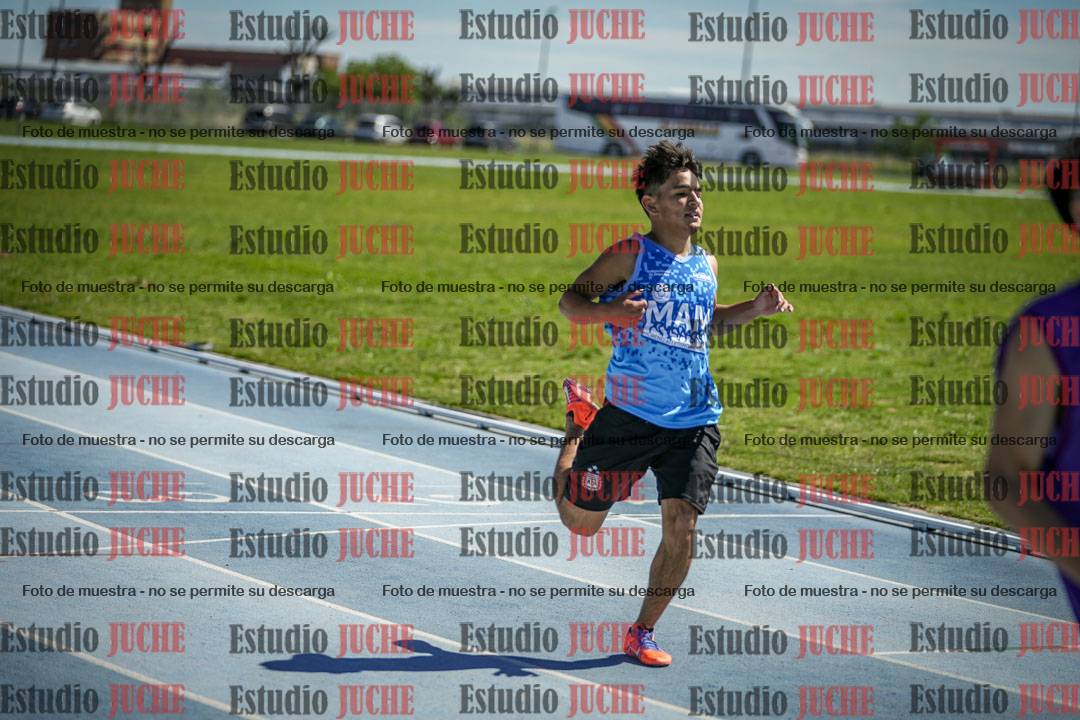 Fotos de los 110 m con vallas de varones