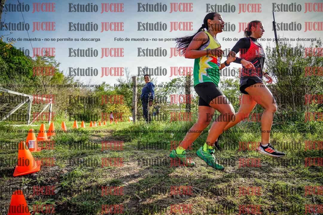 Fotos en el circuito