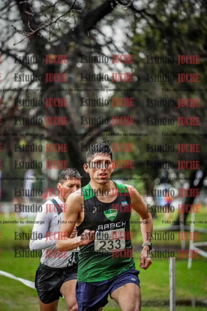 Fotos en el circuito