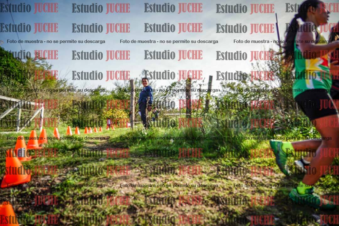 Fotos en el circuito