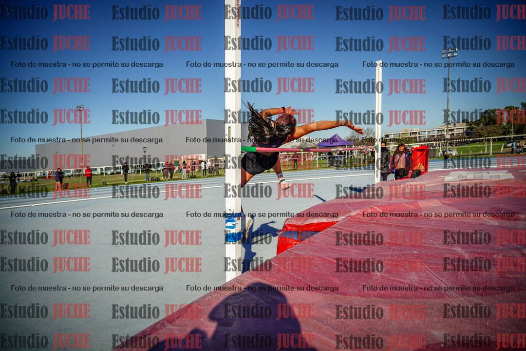 Fotos del salto en alto de mujeres - heptatlón 2