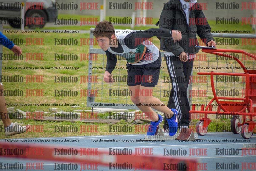 Fotos de los 110 m con vallas de varones