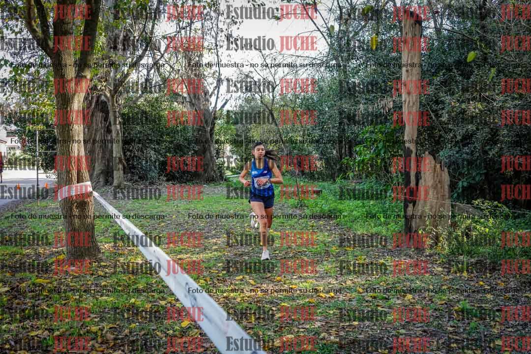 Fotos en el cuarto punto del circuito