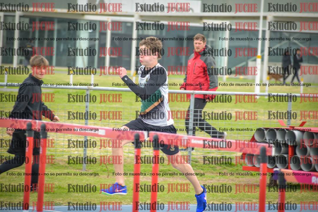 Fotos de los 110 m con vallas de varones