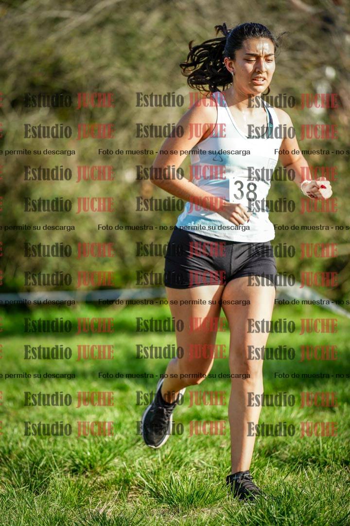 Fotos en el circuito