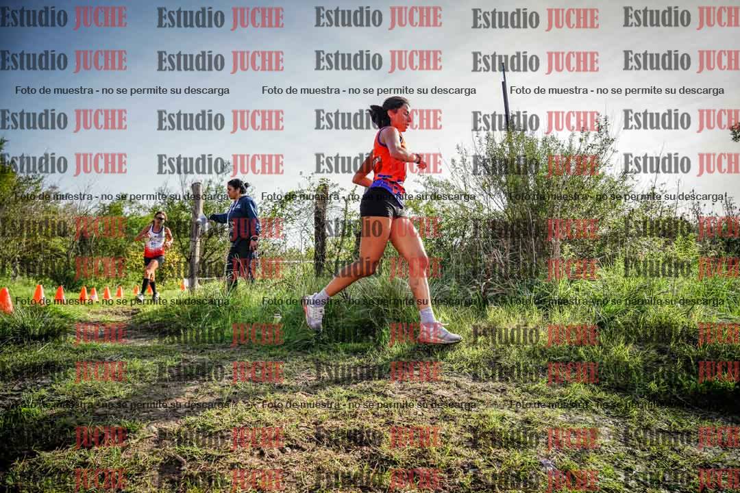 Fotos en el circuito