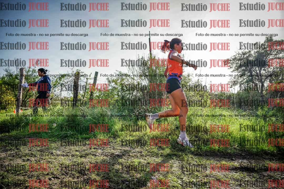 Fotos en el circuito