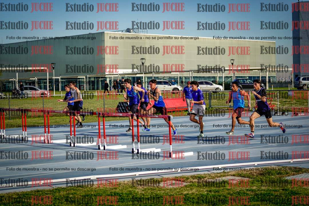 Fotos de los 110 m con vallas de mujeres