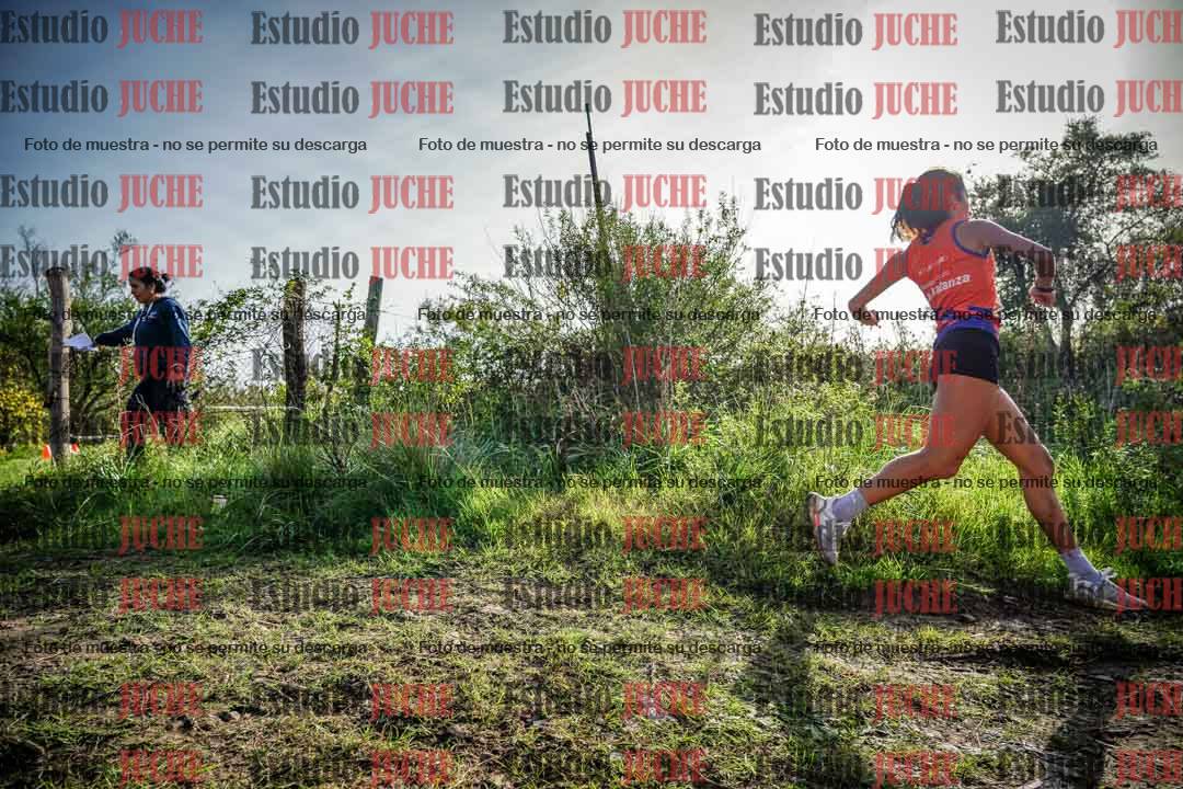 Fotos en el circuito