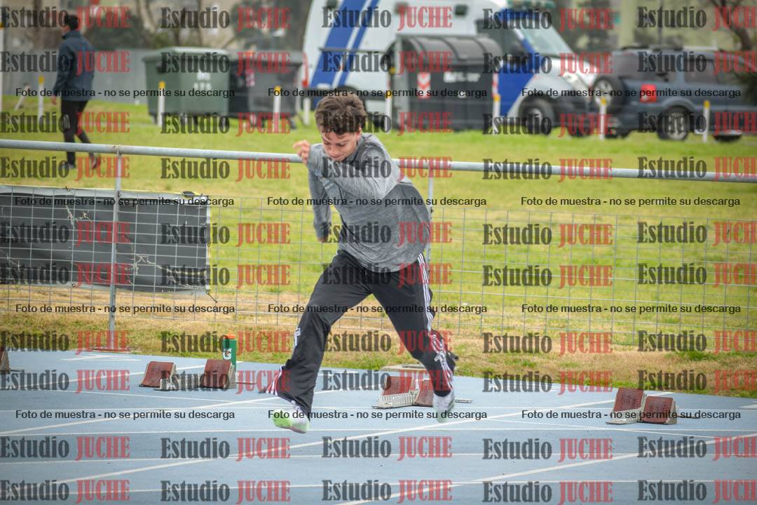 Fotos de los 110 m con vallas de varones