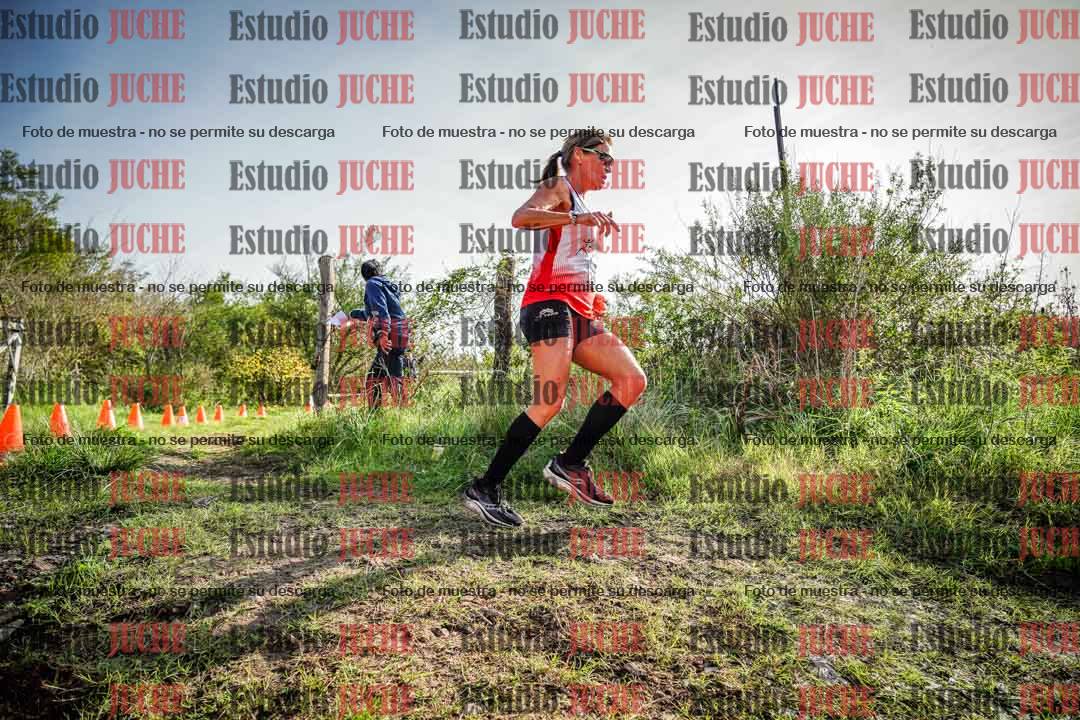 Fotos en el circuito