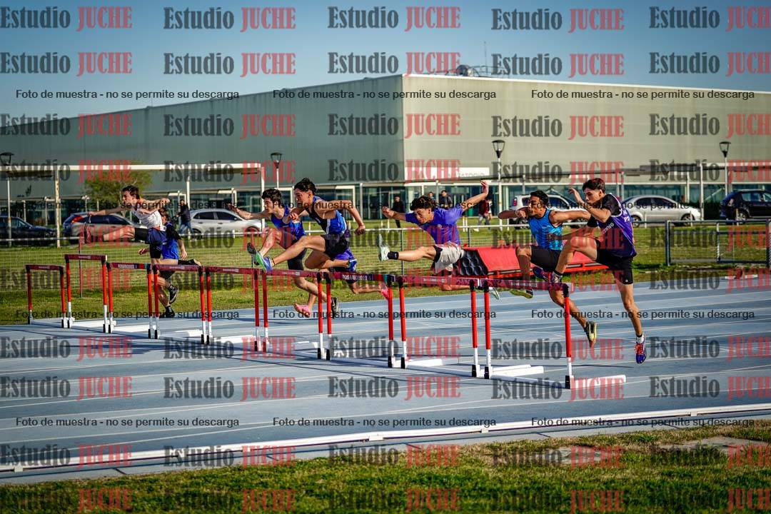 Fotos de los 110 m con vallas de mujeres