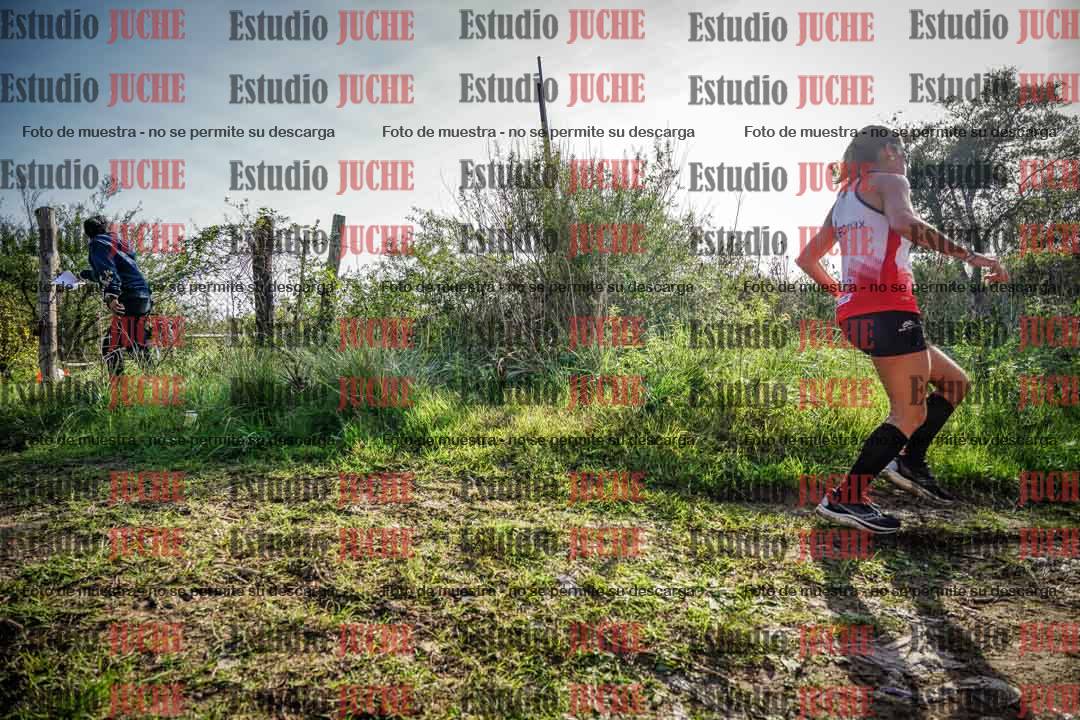 Fotos en el circuito