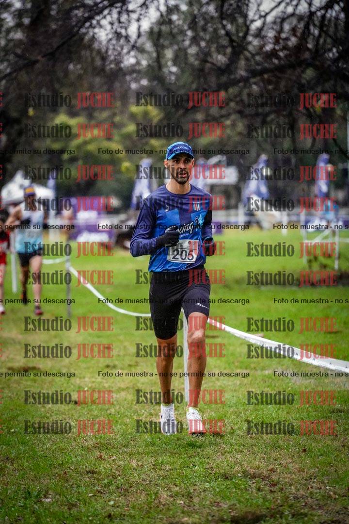 Fotos en el circuito