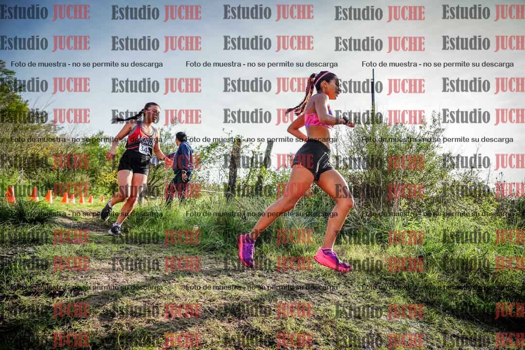 Fotos en el circuito