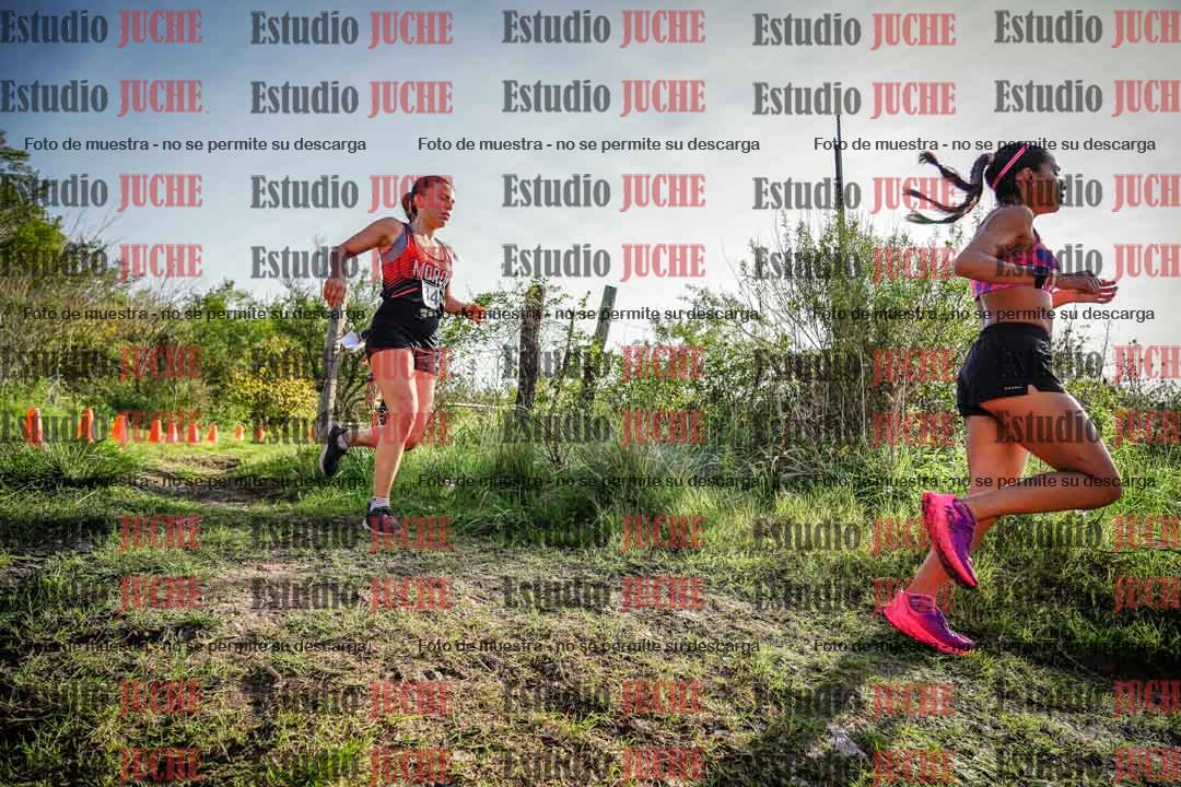Fotos en el circuito