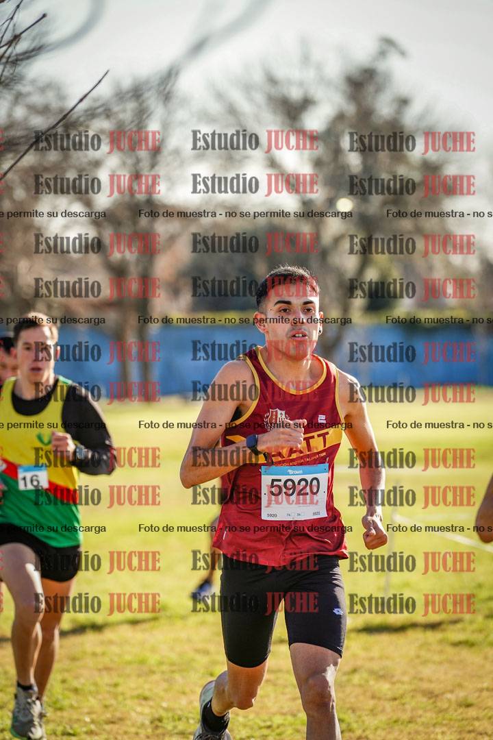 Fotos en el circuito