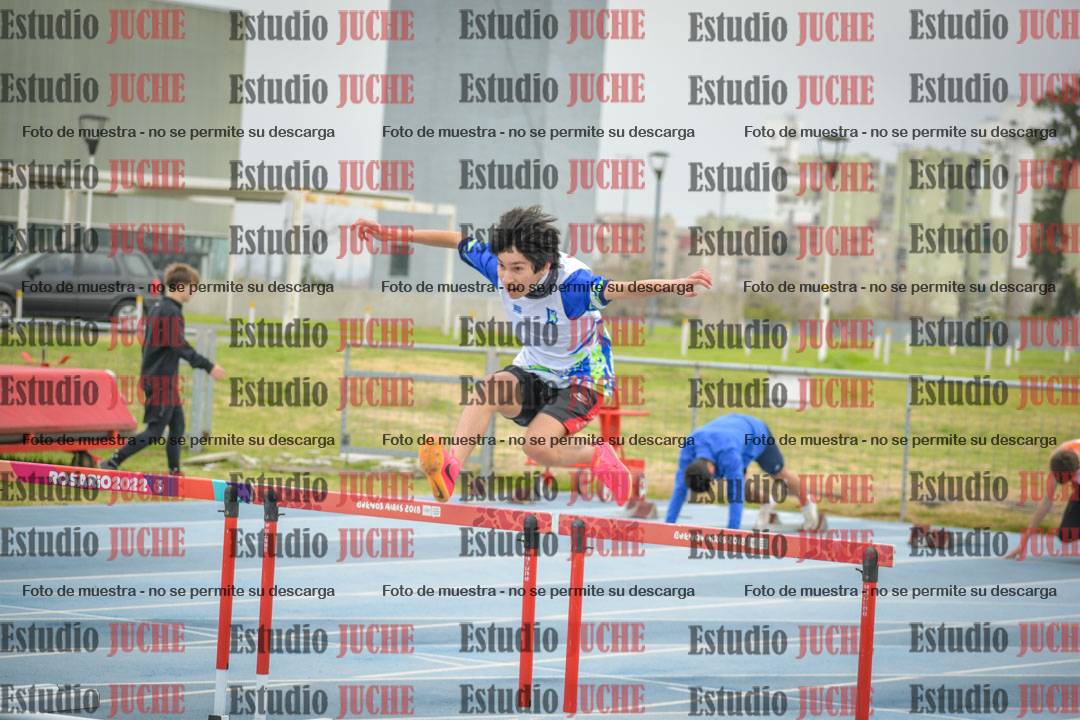 Fotos de los 110 m con vallas de varones