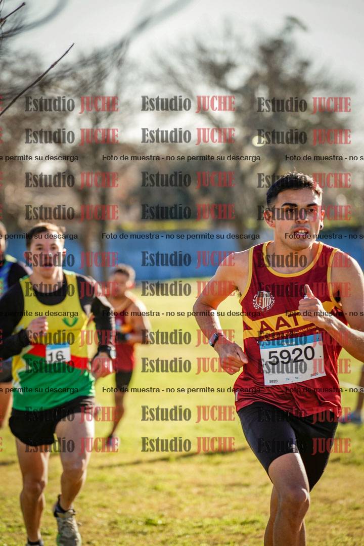 Fotos en el circuito