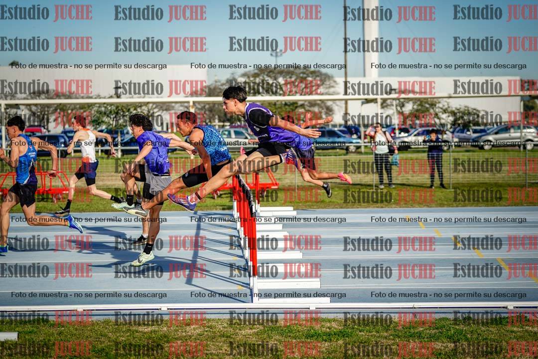Fotos de los 110 m con vallas de mujeres