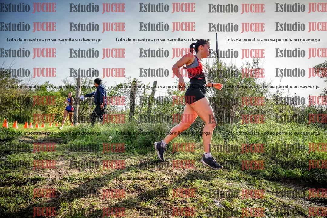 Fotos en el circuito