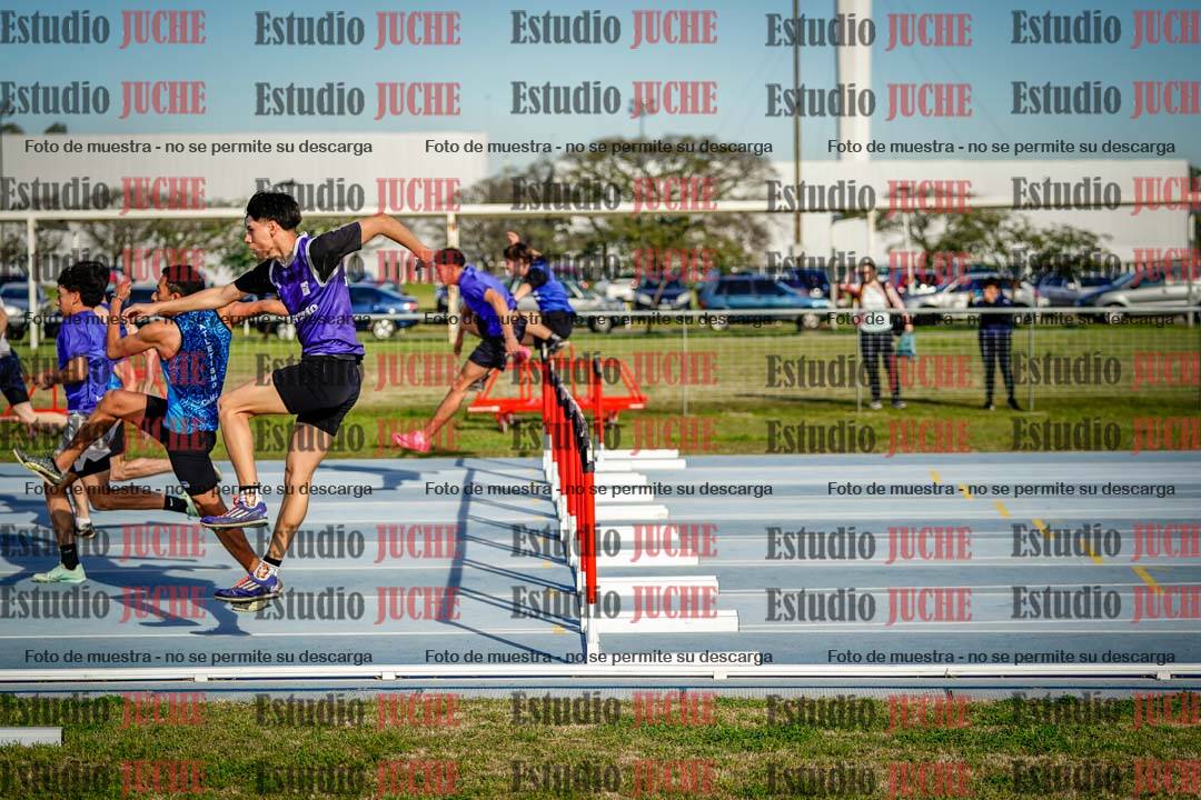Fotos de los 110 m con vallas de mujeres
