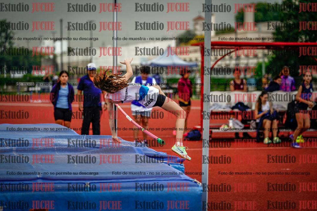 Fotos del salto en alto de mujeres y varones