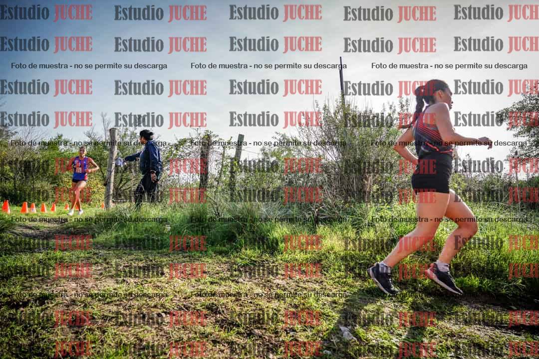 Fotos en el circuito