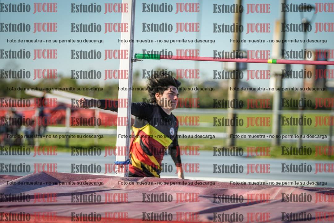 Fotos del salto en alto de varones