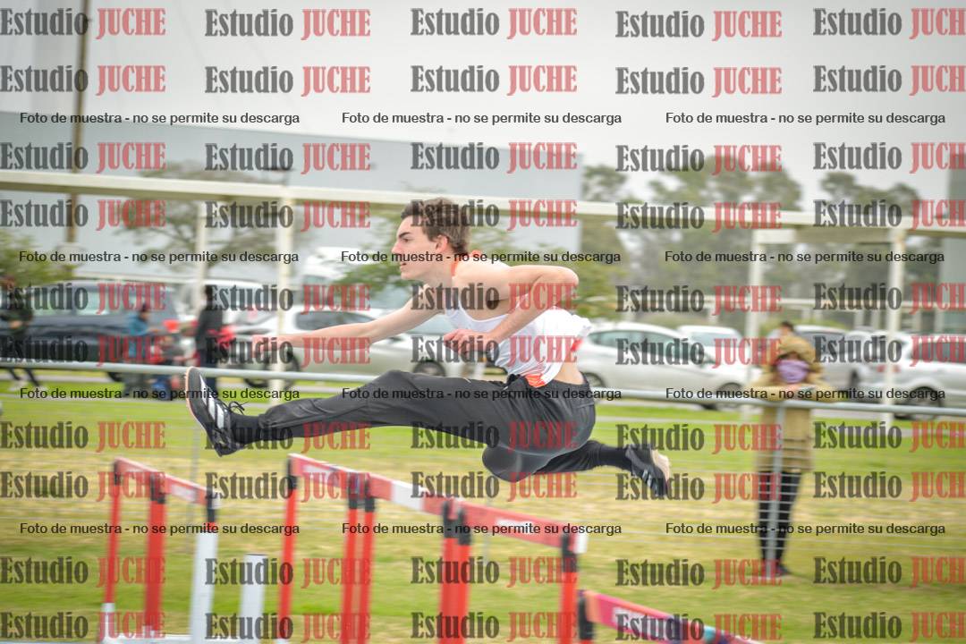 Fotos de los 110 m con vallas de varones