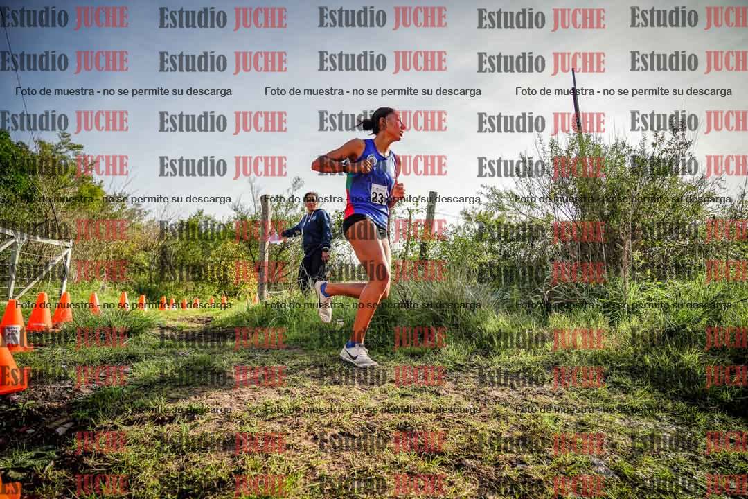 Fotos en el circuito