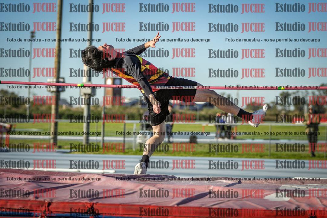 Fotos del salto en alto de varones