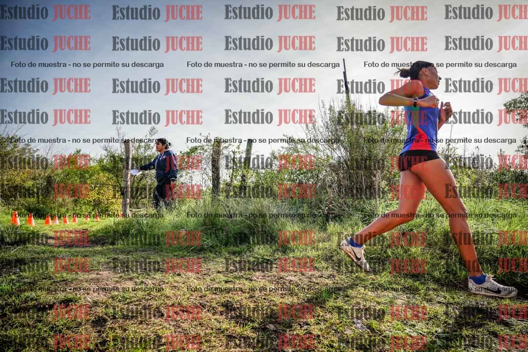Fotos en el circuito