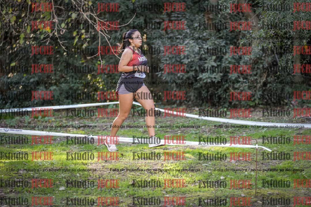 Fotos en el quito punto del circuito