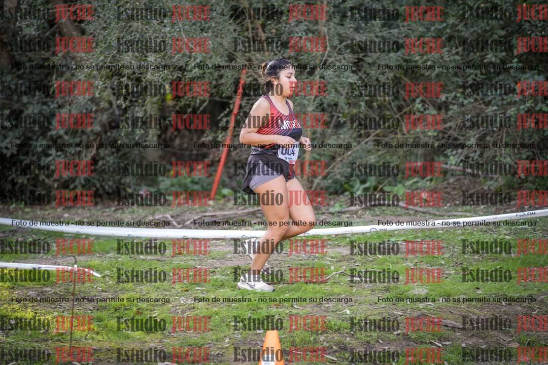 Fotos en el quito punto del circuito