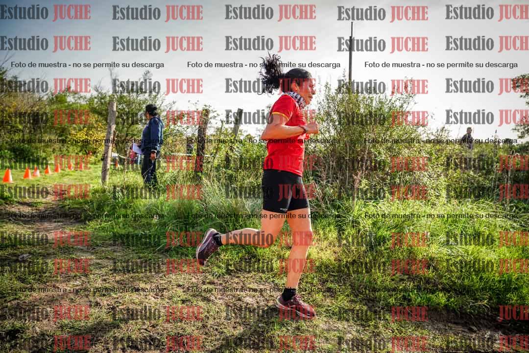 Fotos en el circuito