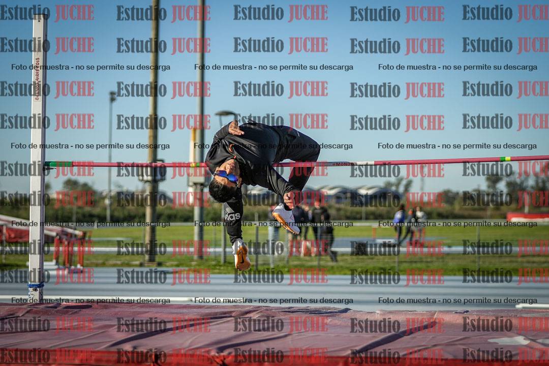 Fotos del salto en alto de varones