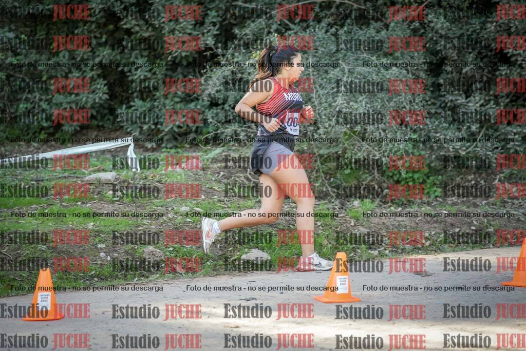 Fotos en el quito punto del circuito