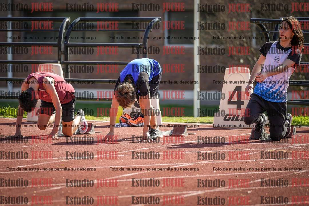 Fotos de los 110 m con vallas de varones